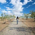 walking-on-pebble-path